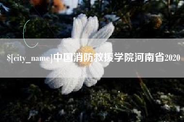 简阳中国消防救援学院河南省2020